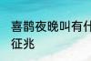 喜鹊夜晚叫有什么兆头 喜鹊夜晚叫的征兆