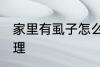 家里有虱子怎么办 家里有虱子如何处理
