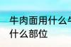 牛肉面用什么牛肉部位 牛肉面用牛肉什么部位