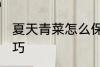夏天青菜怎么保鲜 夏天青菜的保鲜技巧
