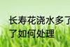 长寿花浇水多了怎么办 长寿花浇水多了如何处理