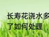 长寿花浇水多了怎么办 长寿花浇水多了如何处理