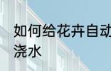 如何给花卉自动浇水 怎么给花卉自动浇水