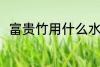富贵竹用什么水养 富贵竹如何养殖
