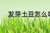 发芽土豆怎么吃 发芽土豆如何吃