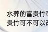 水养的富贵竹可以改土养吗 水养的富贵竹可不可以改土养