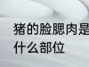 猪的脸腮肉是哪个部位 猪的脸腮肉在什么部位