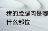 猪的脸腮肉是哪个部位 猪的脸腮肉在什么部位