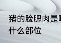 猪的脸腮肉是哪个部位 猪的脸腮肉在什么部位