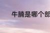 牛腩是哪个部位的肉 牛腩介绍
