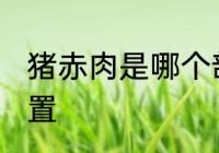 猪赤肉是哪个部位 猪赤肉是在什么位置