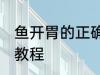 鱼开胃的正确使用方法 使用鱼开胃的教程