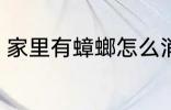家里有蟑螂怎么消灭 消灭蟑螂小妙招