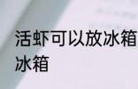 活虾可以放冰箱吗 活虾能不能直接放冰箱
