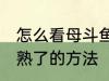 怎么看母斗鱼卵成熟了 看母斗鱼卵成熟了的方法