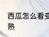 西瓜怎么看变熟了 西瓜如何判断熟没熟