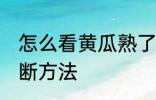 怎么看黄瓜熟了没有 黄瓜熟没熟的判断方法