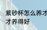 紫砂杯怎么养才养得好 紫砂杯如何养才养得好