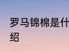 罗马锦棉是什么面料 罗马锦棉面料介绍