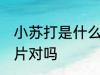 小苏打是什么药 小苏打就是碳酸氢钠片对吗