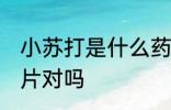 小苏打是什么药 小苏打就是碳酸氢钠片对吗