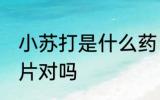 小苏打是什么药 小苏打就是碳酸氢钠片对吗