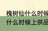 槐树仙什么时候上供品好 祭拜槐树仙什么时候上供品好