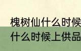 槐树仙什么时候上供品好 祭拜槐树仙什么时候上供品好