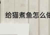 给猫煮鱼怎么做好吃 鱼怎么给猫吃