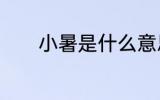 小暑是什么意思? 小暑的含义