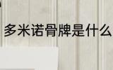 多米诺骨牌是什么 多米诺骨牌的含义