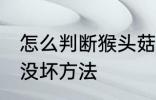 怎么判断猴头菇坏没坏 判断猴头菇坏没坏方法
