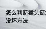 怎么判断猴头菇坏没坏 判断猴头菇坏没坏方法