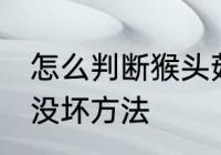 怎么判断猴头菇坏没坏 判断猴头菇坏没坏方法