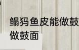 鳎犸鱼皮能做鼓面吗 鳎犸鱼皮能不能做鼓面