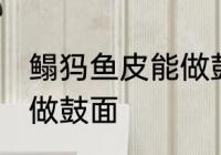 鳎犸鱼皮能做鼓面吗 鳎犸鱼皮能不能做鼓面