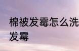 棉被发霉怎么洗掉霉斑 如何解决棉被发霉