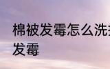 棉被发霉怎么洗掉霉斑 如何解决棉被发霉