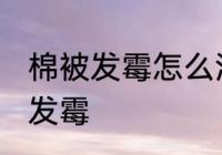 棉被发霉怎么洗掉霉斑 如何解决棉被发霉