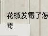 花椒发霉了怎么处理 如何处理花椒发霉