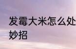 发霉大米怎么处理能吃 大米发霉处理妙招