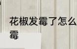 花椒发霉了怎么处理 如何处理花椒发霉
