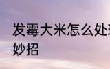 发霉大米怎么处理能吃 大米发霉处理妙招
