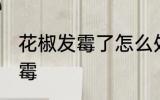 花椒发霉了怎么处理 如何处理花椒发霉