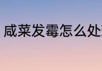咸菜发霉怎么处理 咸菜发霉如何处理