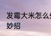 发霉大米怎么处理能吃 大米发霉处理妙招