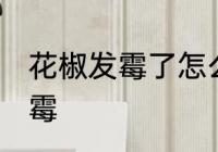 花椒发霉了怎么处理 如何处理花椒发霉