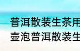 普洱散装生茶用什么壶泡最好 用哪种壶泡普洱散装生茶是最好