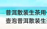 普洱散装生茶用什么壶泡最好 用哪种壶泡普洱散装生茶是最好