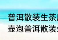 普洱散装生茶用什么壶泡最好 用哪种壶泡普洱散装生茶是最好